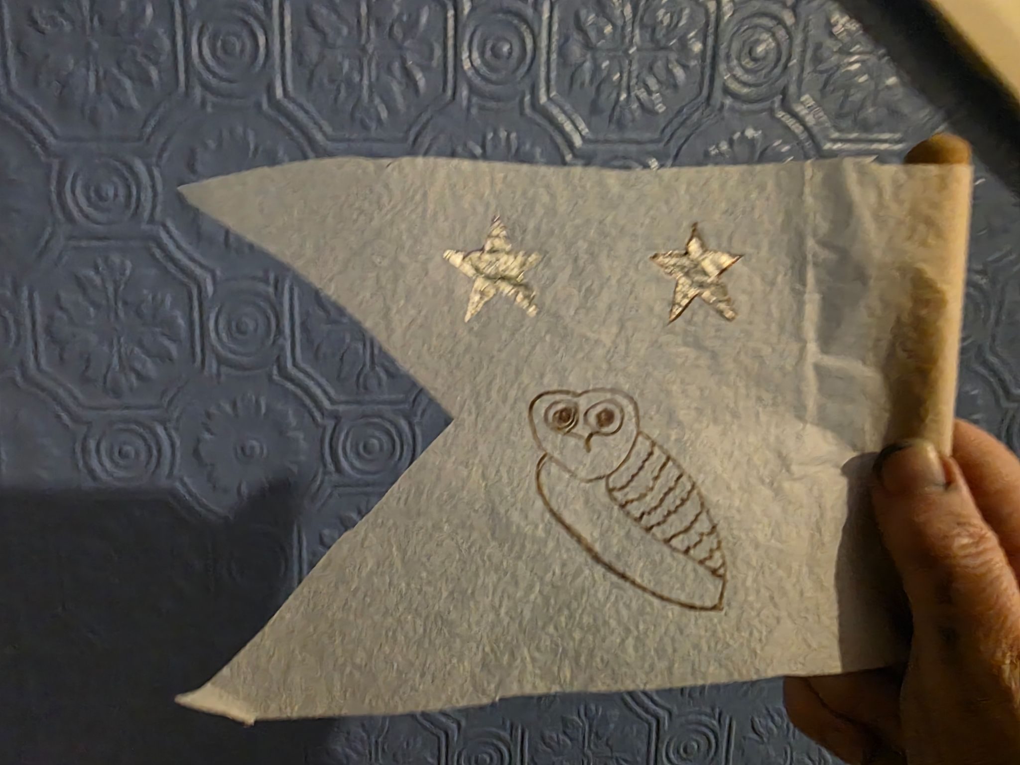 Rectangular white flag missing a triangle at the edge. Two five point silver stars with a brown owl below