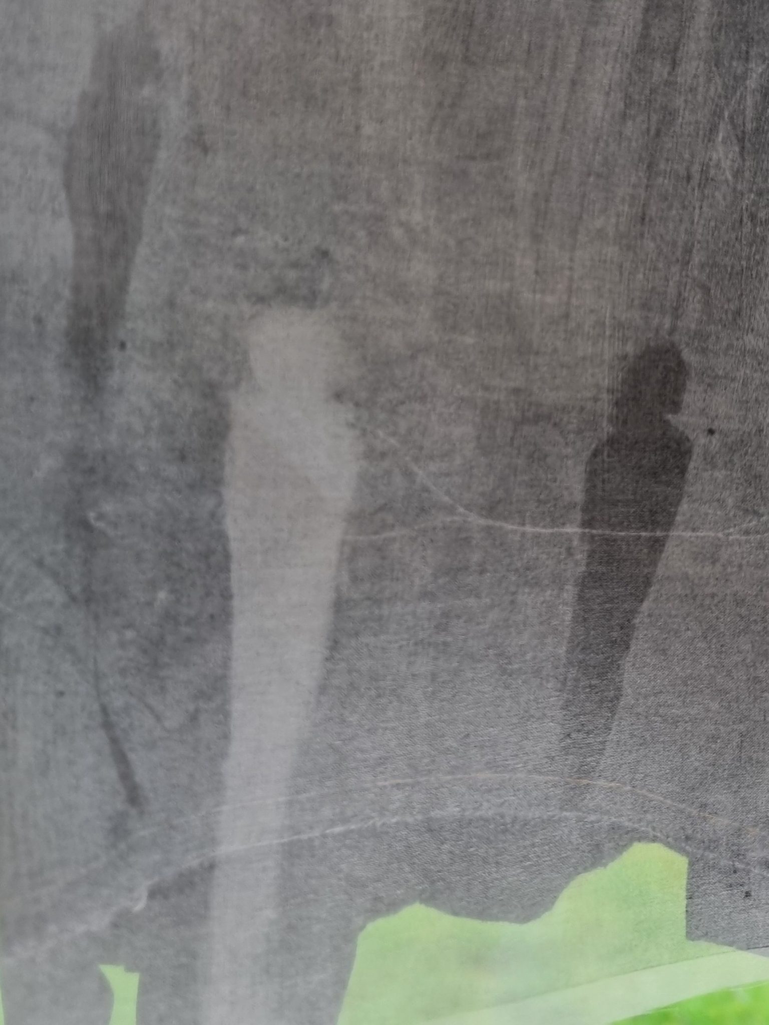 Etching ink monotype on silk organza