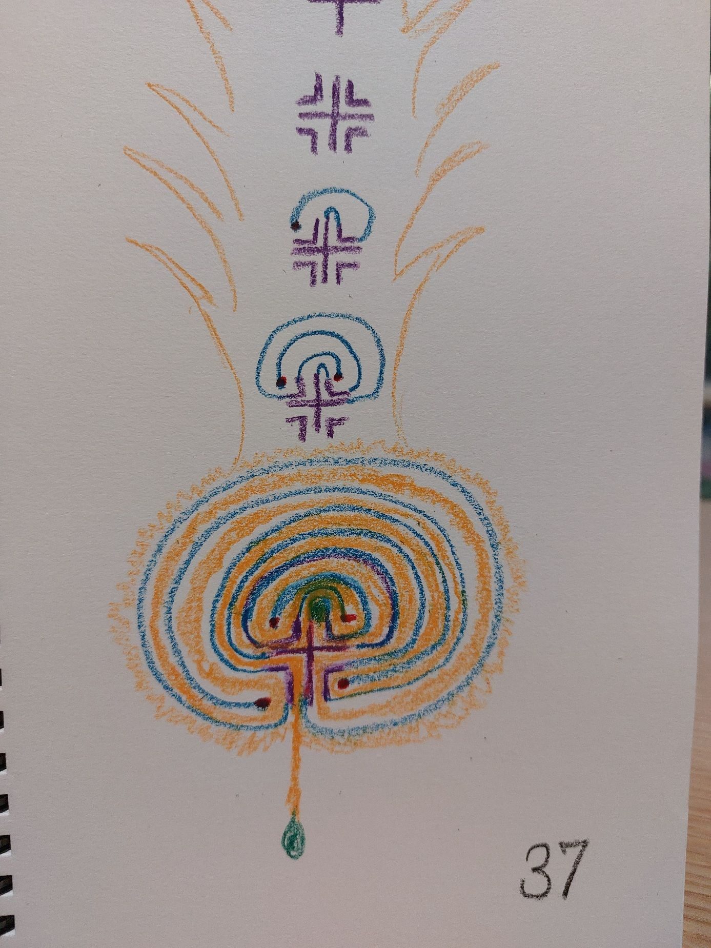 How to draw a seed labyrinth in colour pencils