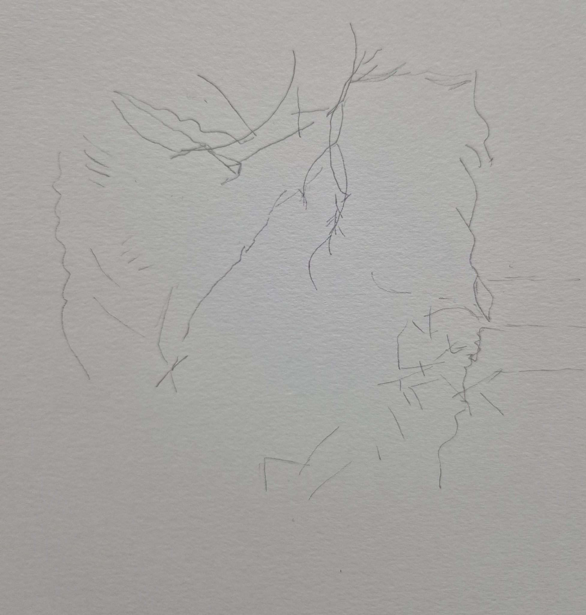 This is a series of marks made by pencil on paper.