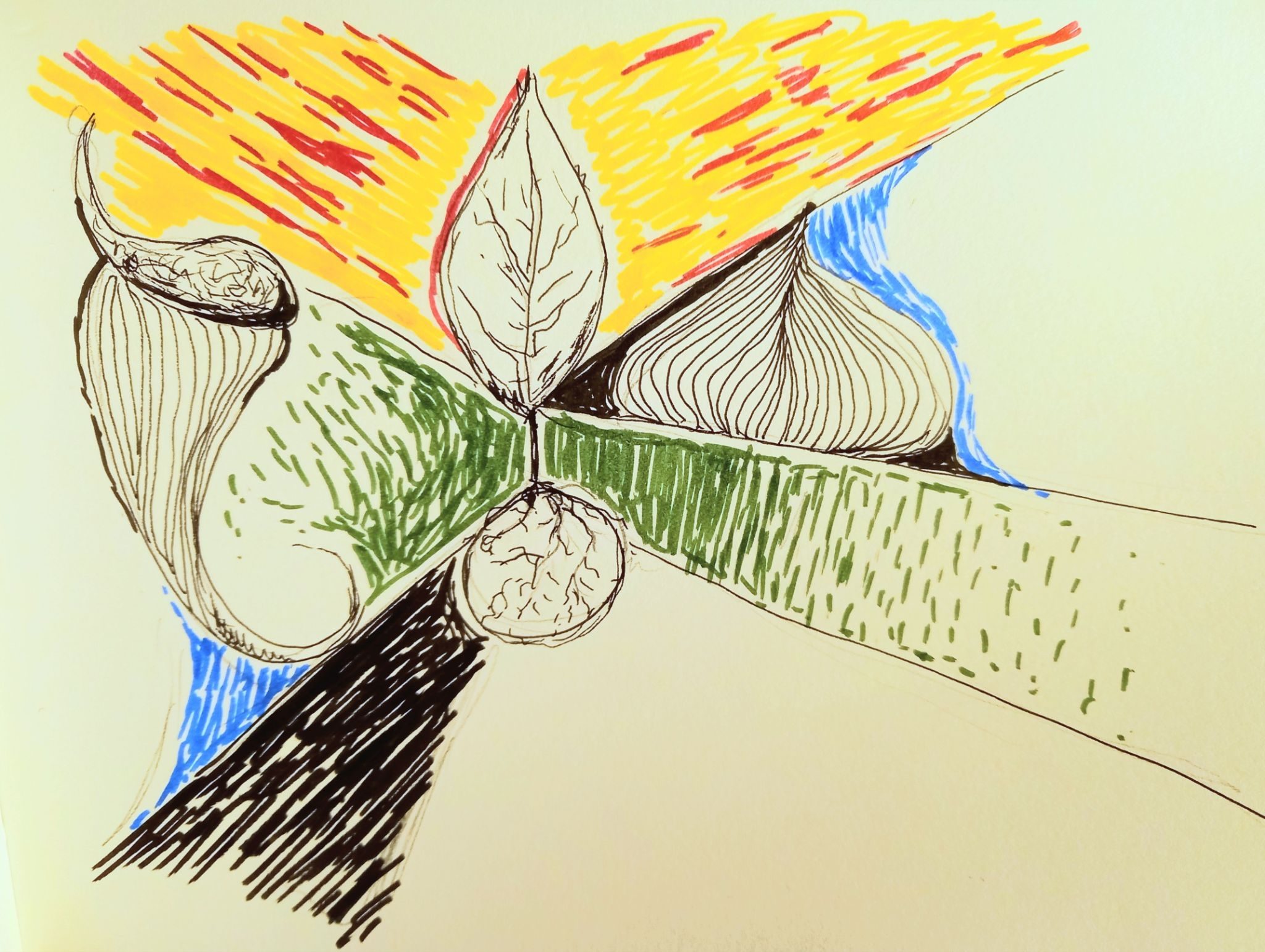 abstract drawing of organic shapes, colour pen