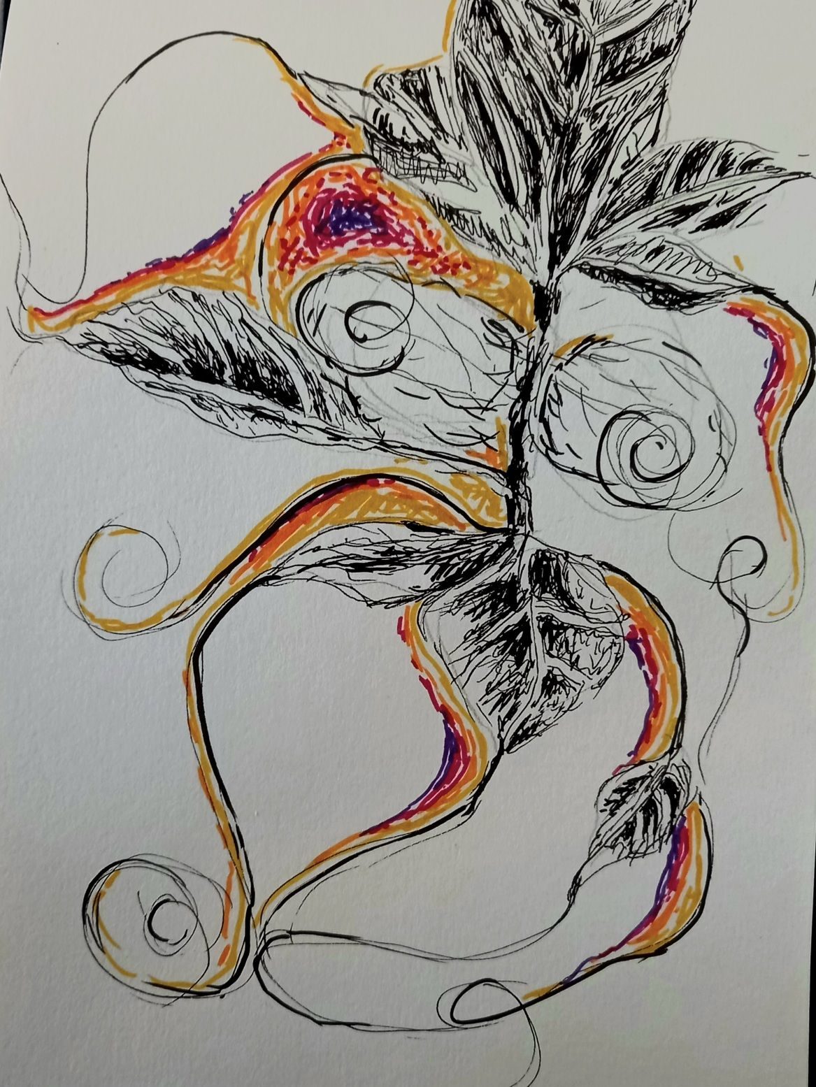 drawing, black and colour pen, organic shape