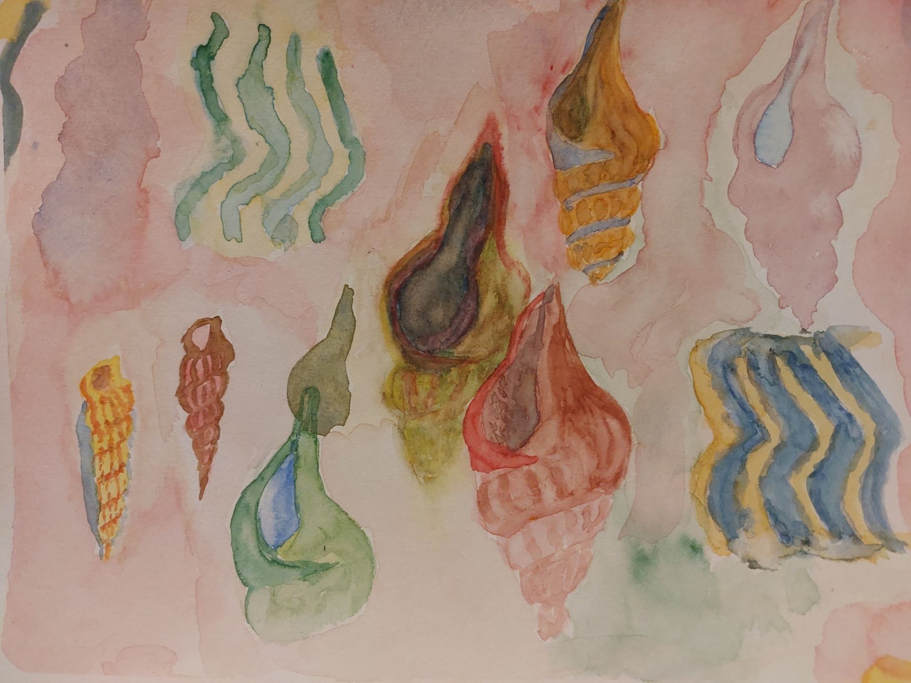 Watercolour of beach shells
