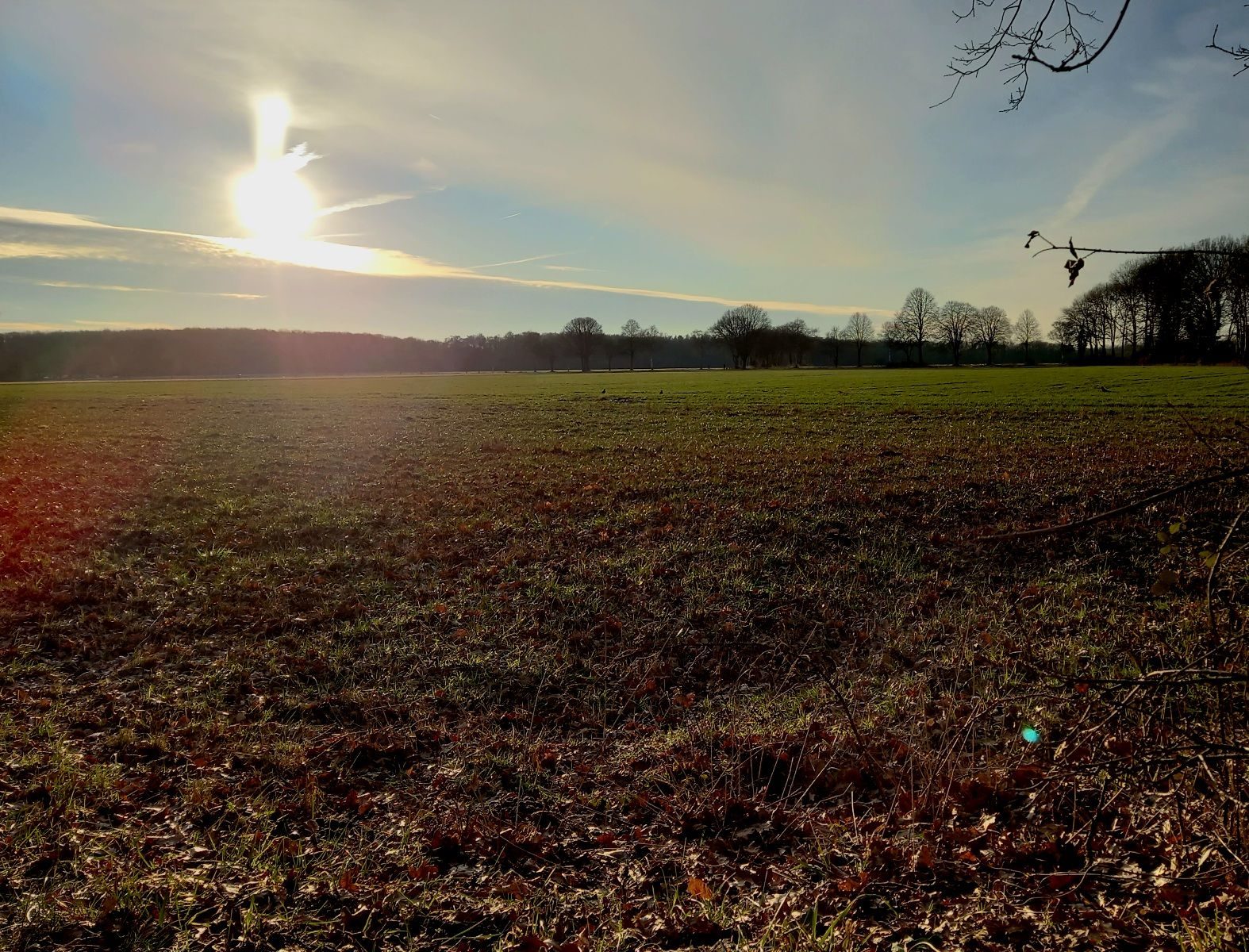 photo, rural landscape,