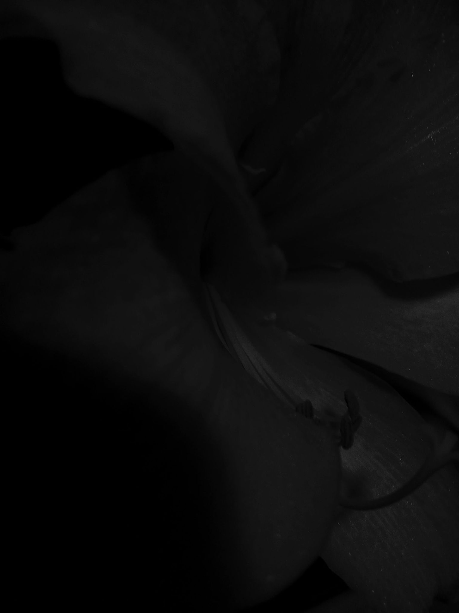 photograph, b&w, very dark lit