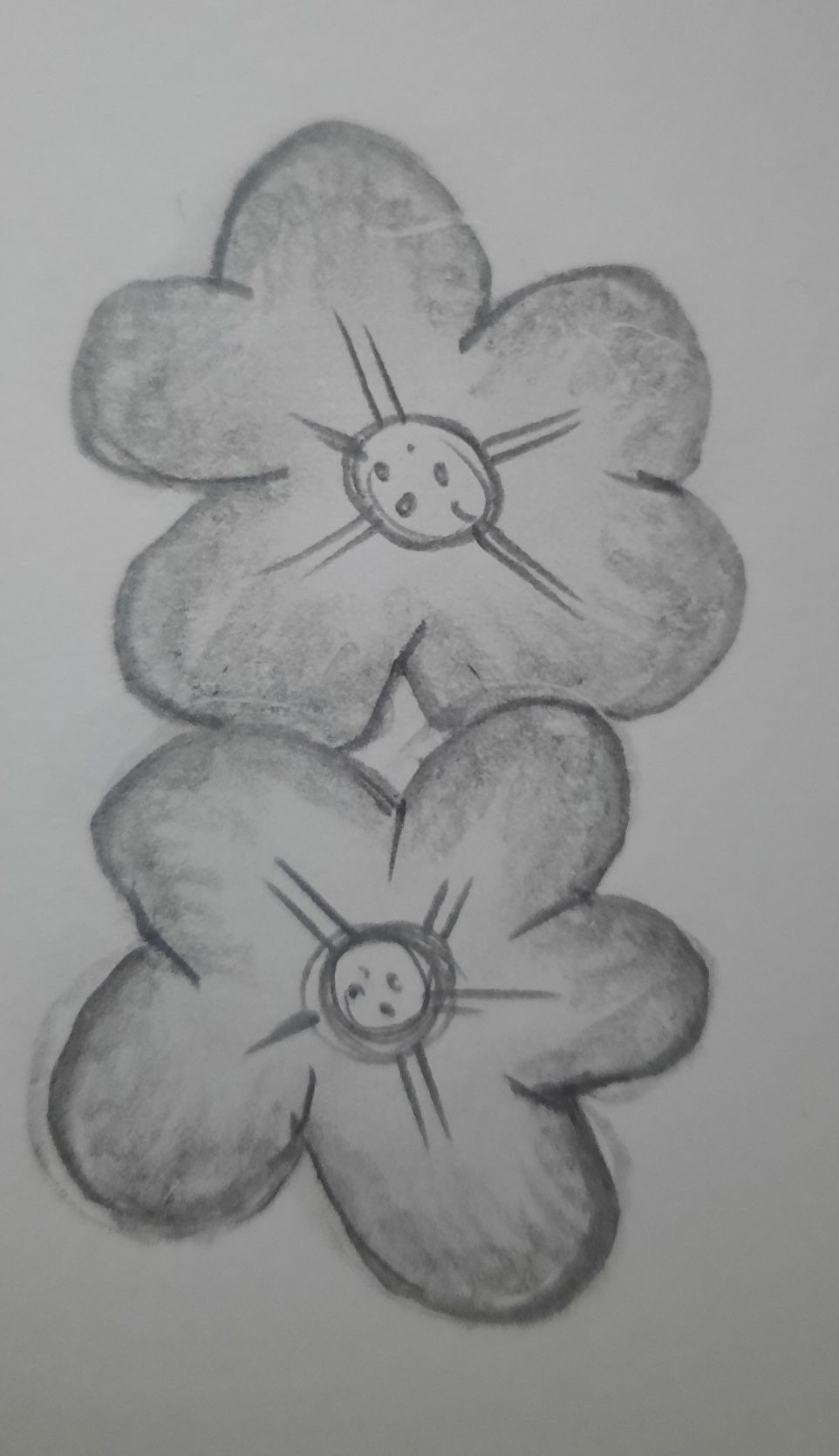 Pencil drawing of two small flower shapes with large rounded petals.