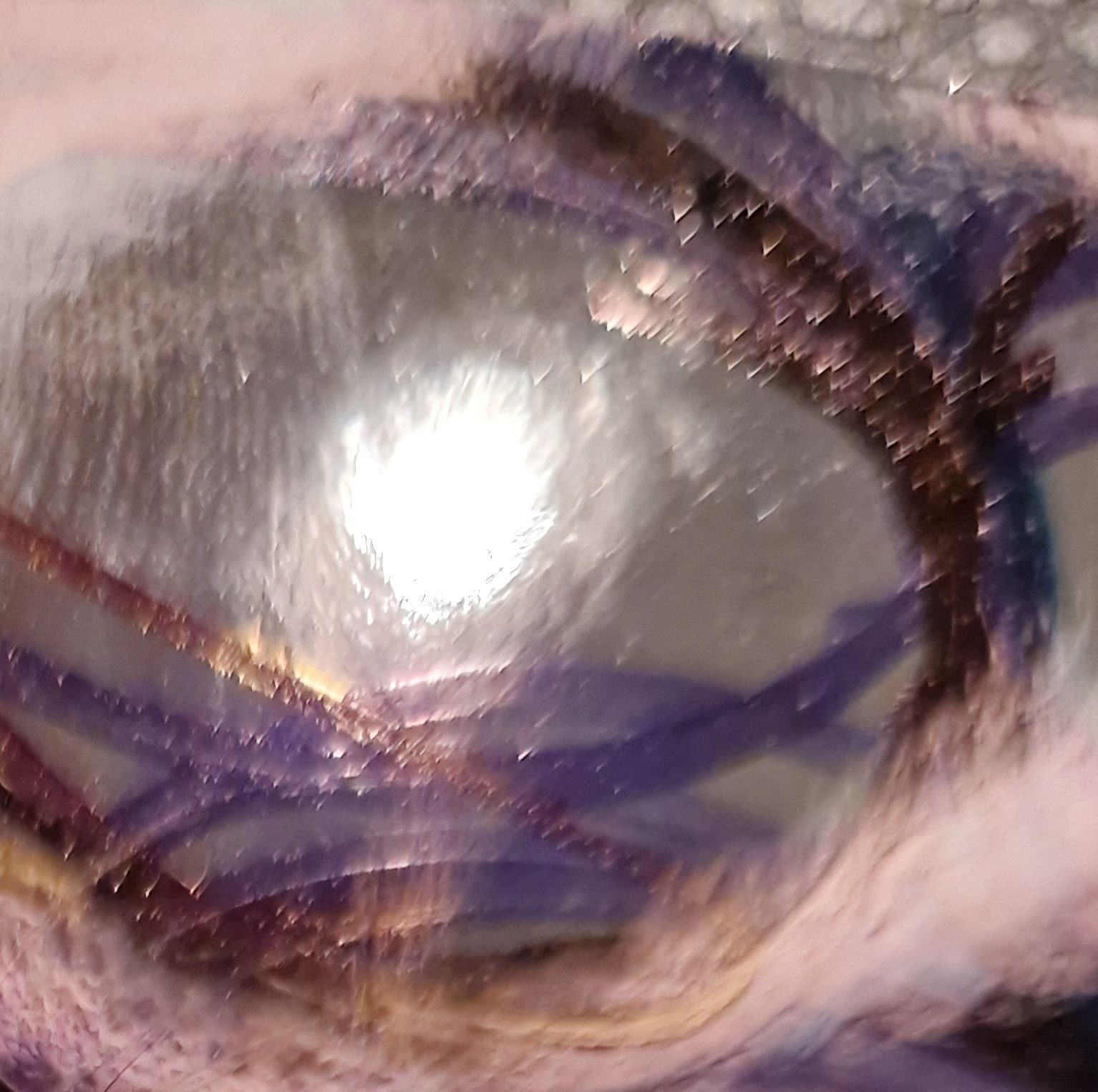 photo enhanced with pen of ice skating marks