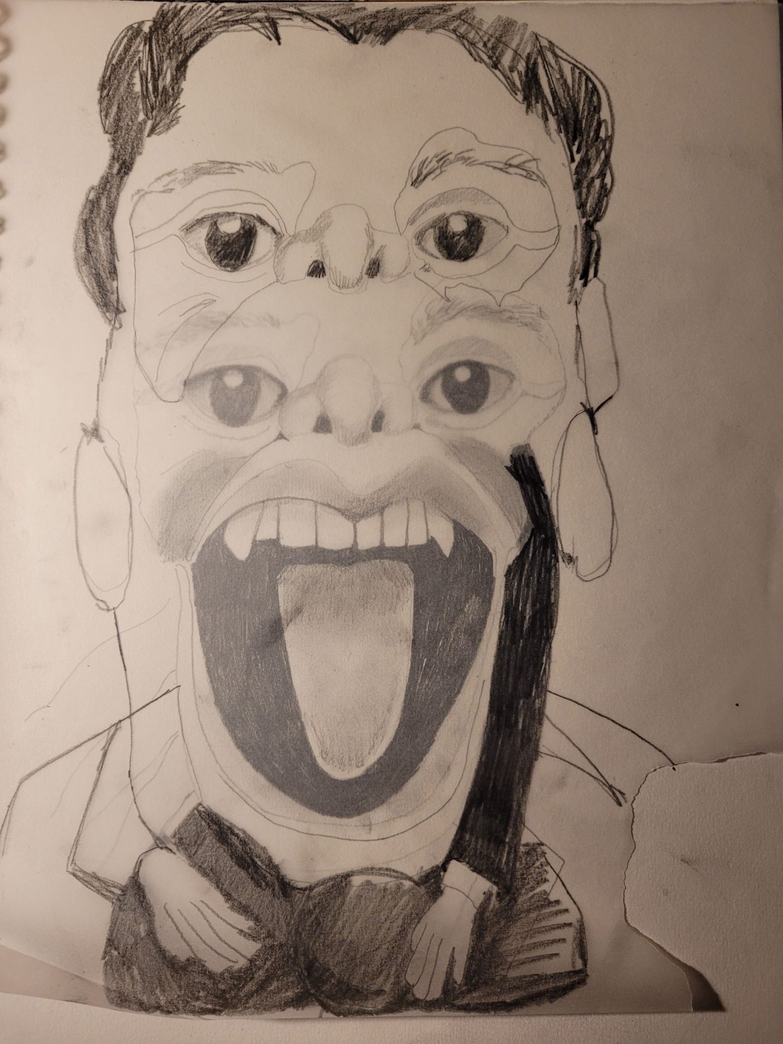 A drawing of a face with overlaid tracing of elements of the face, doubling the eyes and adding in additional features. ing of