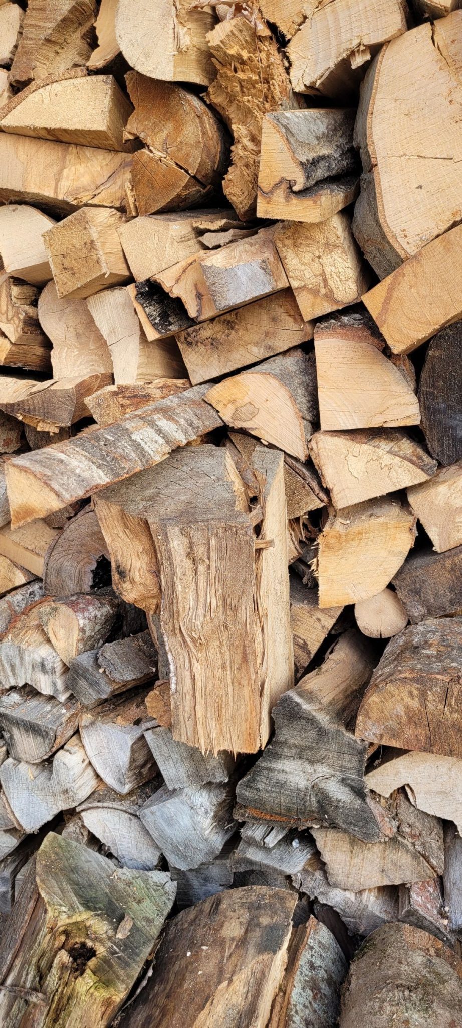 Pile of wood logs
