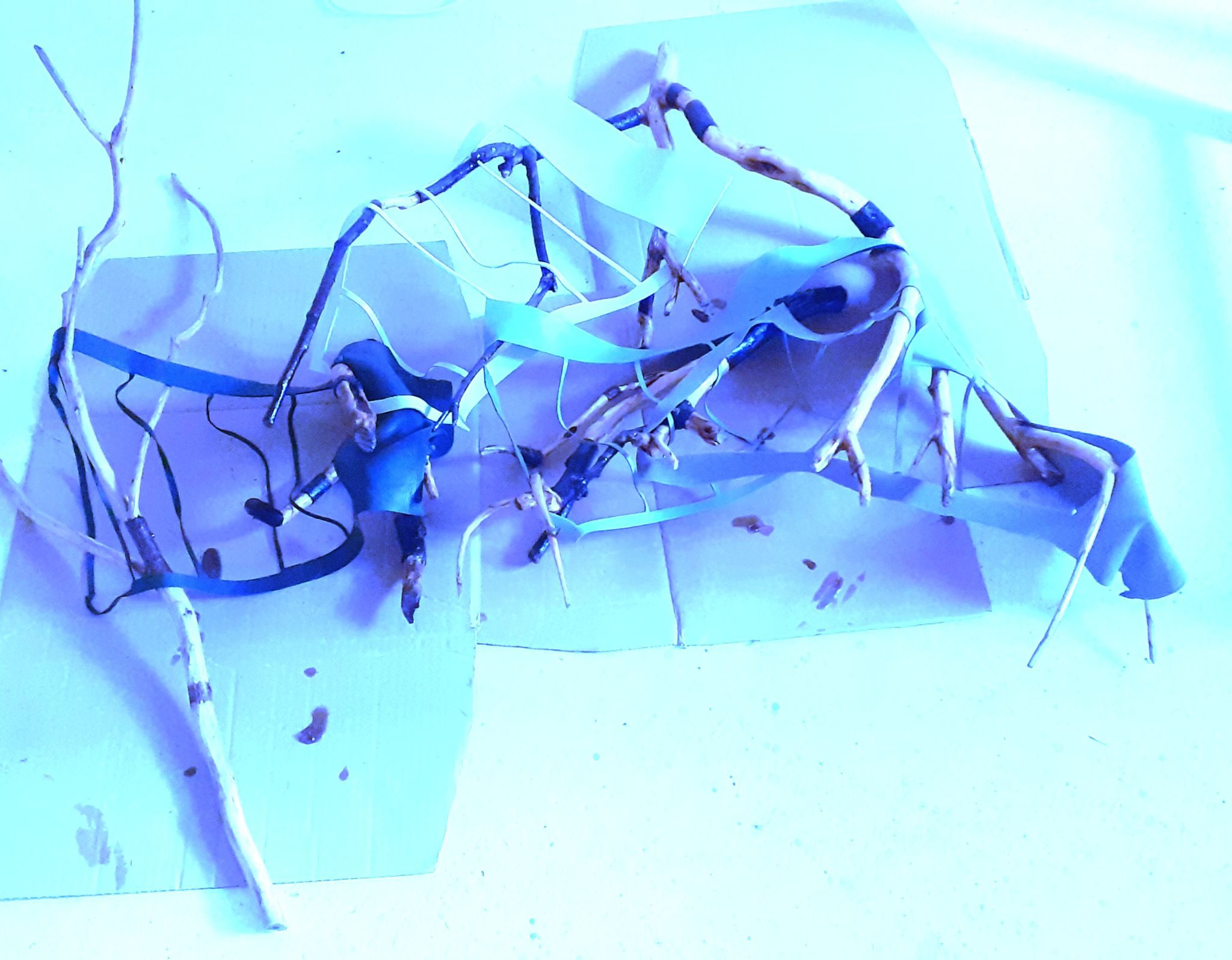 Tree wood branchs and leather cuts