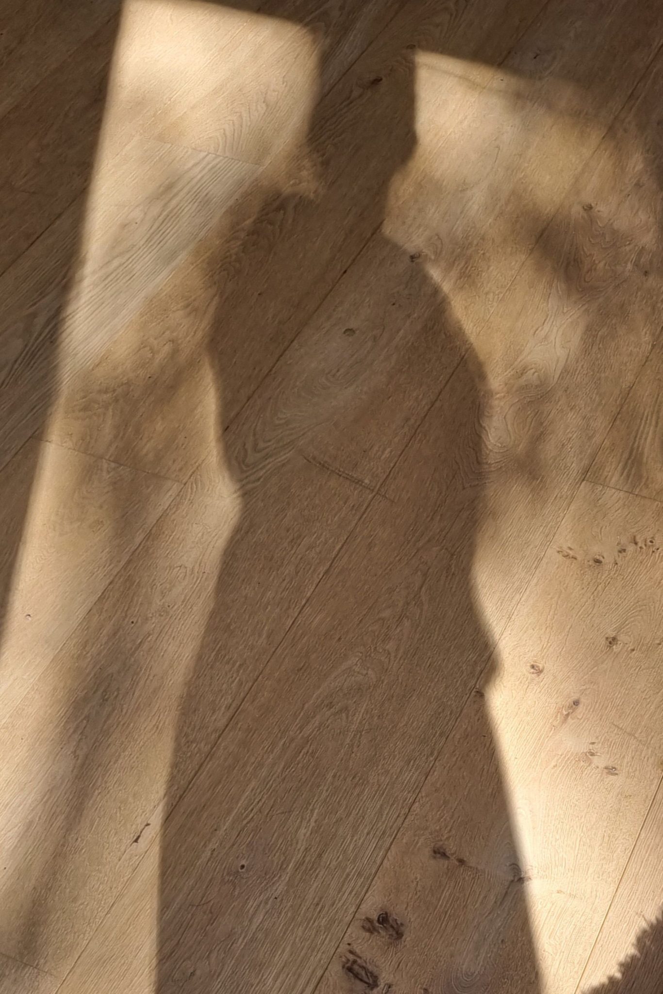 Photo of female silhouette