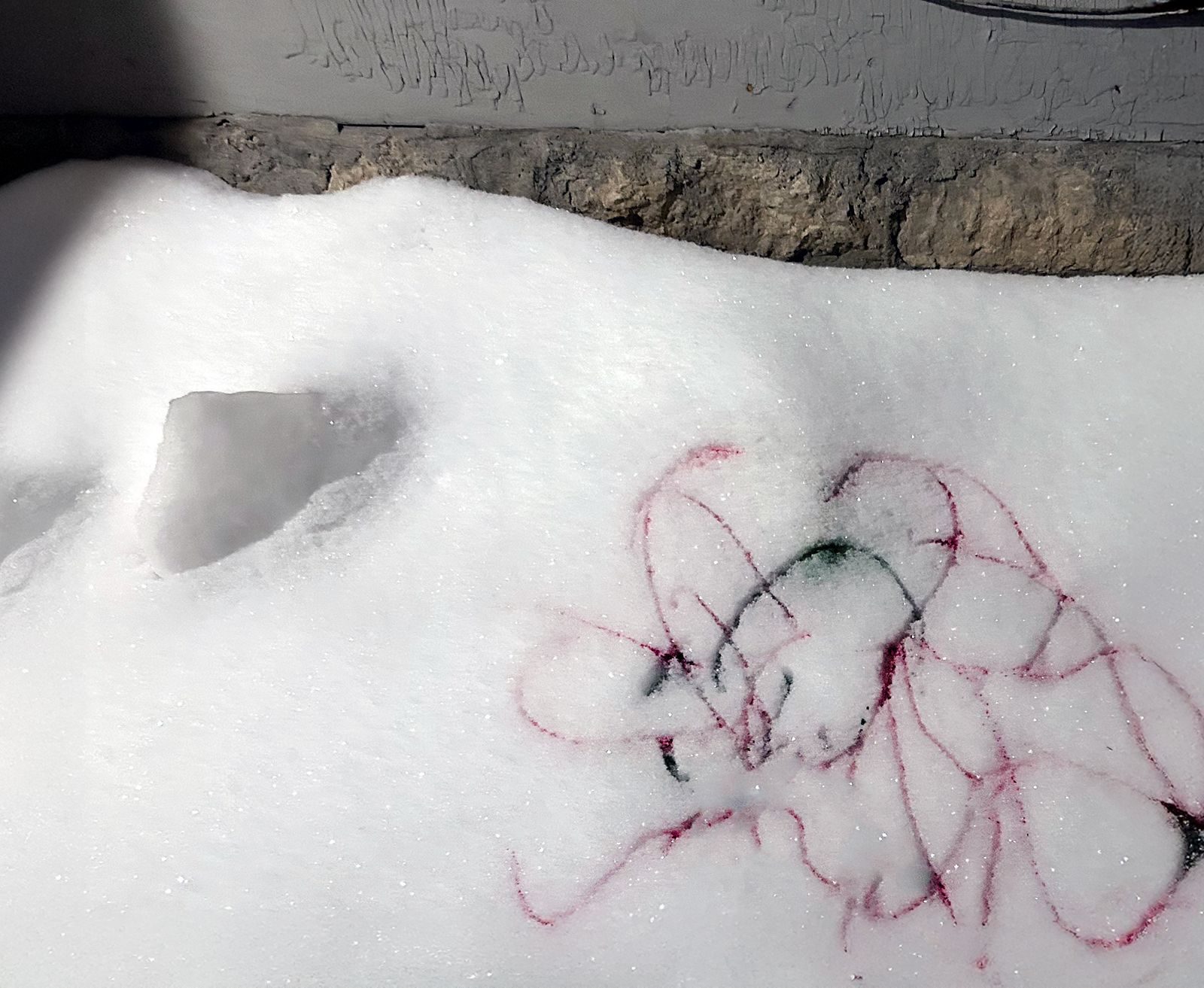 floral sketch using liquid drink mix on snow