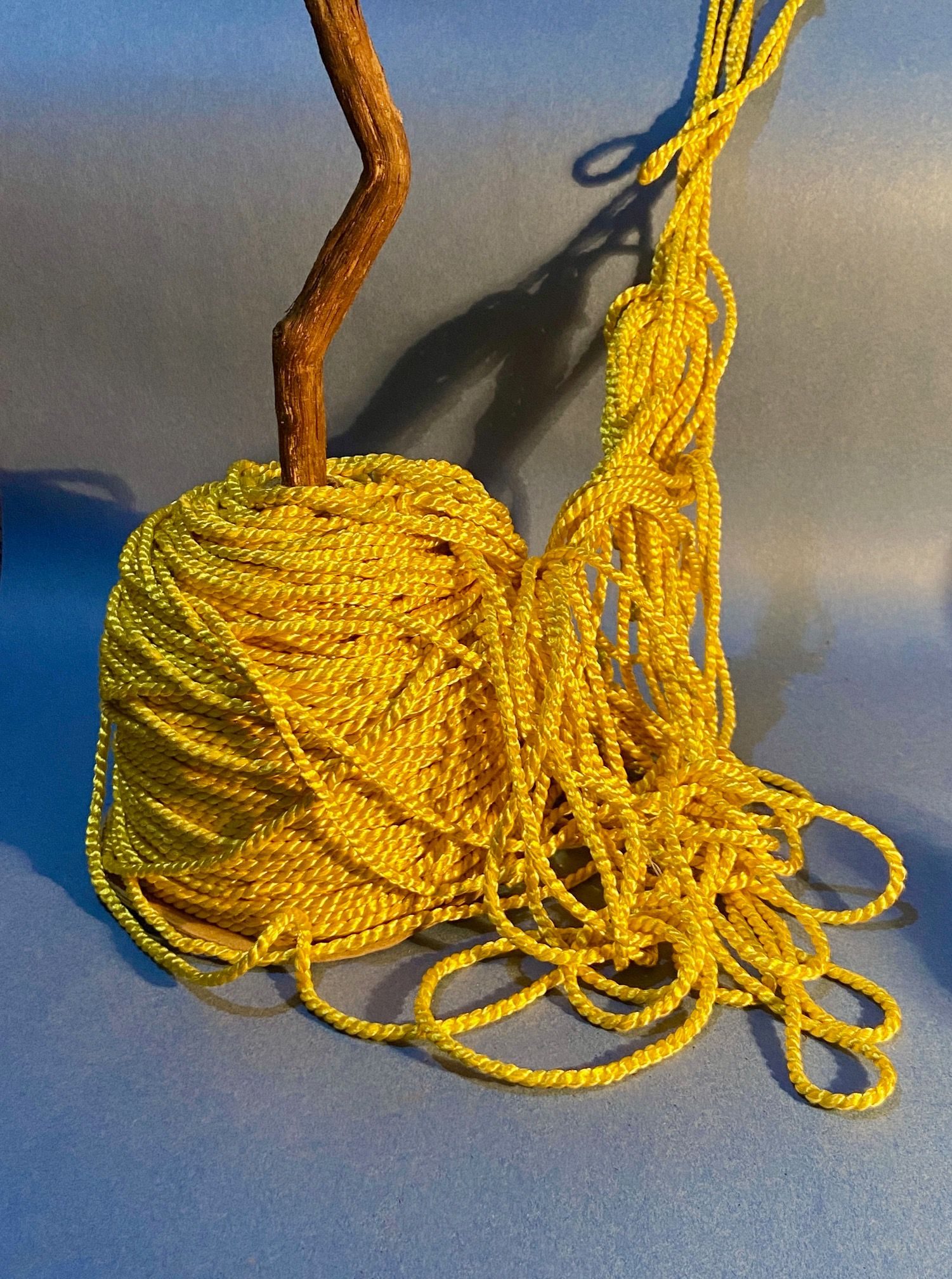 the bolt of golden chord has become entangled, but it's still trying to get somewhere, in competition with a zigzag wooden branch