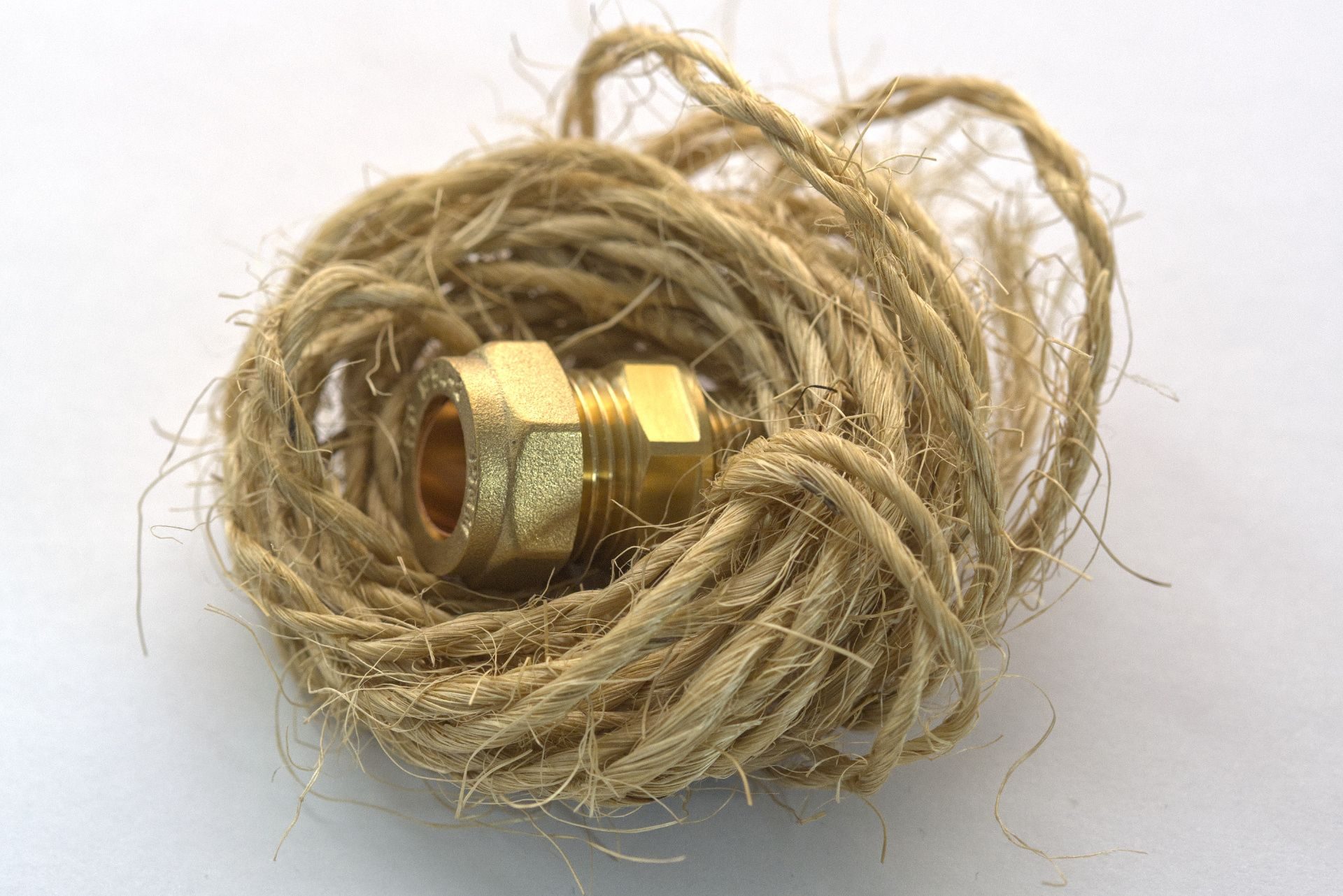 photography based digital image