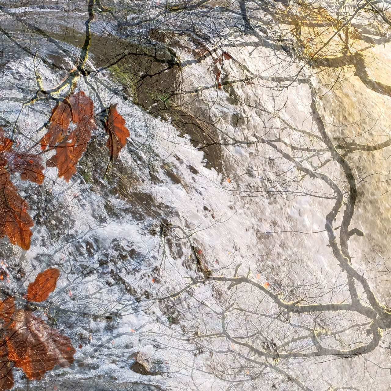 photography based digital image