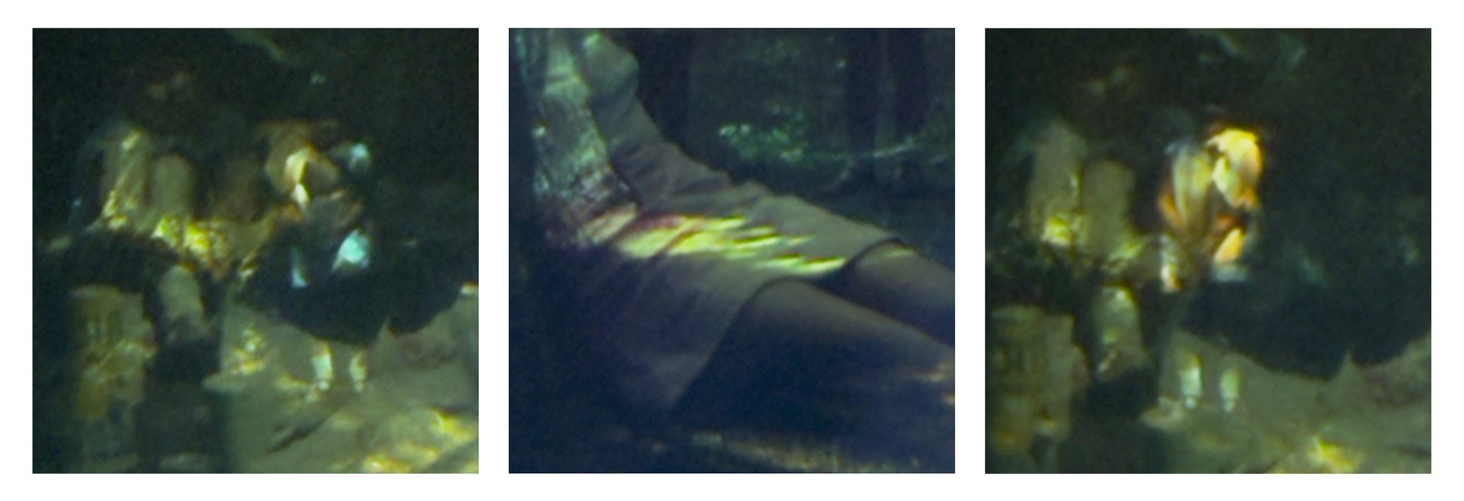 Three photographs displayed as a triptych against white background. The pictures are all rephotographed sections of overlaid 35mm slides from the New Forest in 1970. There are small children in the first and third pictures and a woman sitting on the ground in the central image but all the figures are largely obscured by the image of the forest.