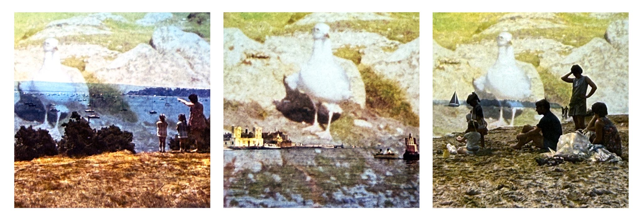 Three photographs displayed as a triptych against white background. The pictures are rephotographed sections of old 35mm slides layered on top of a photograph from a family holiday. Each includes one or more people from the 35mm slides with a bird from the photograph looming large in the background.