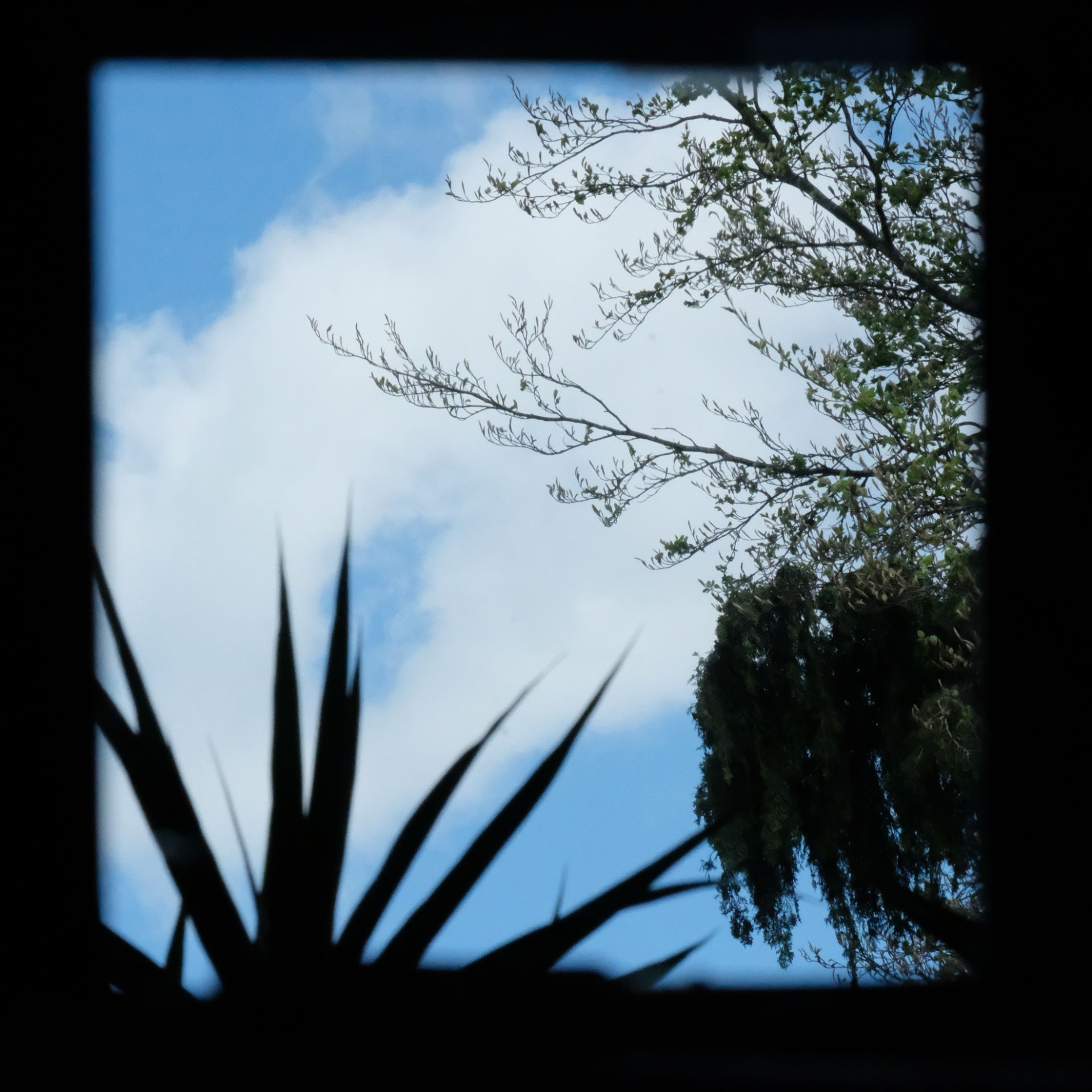 photography based digital image