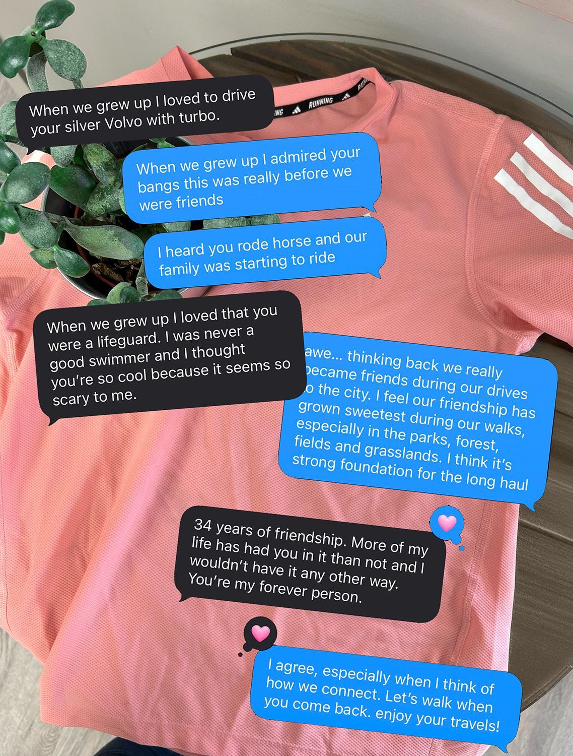 text conversation with image of pink adidas shirt and green plant in the background