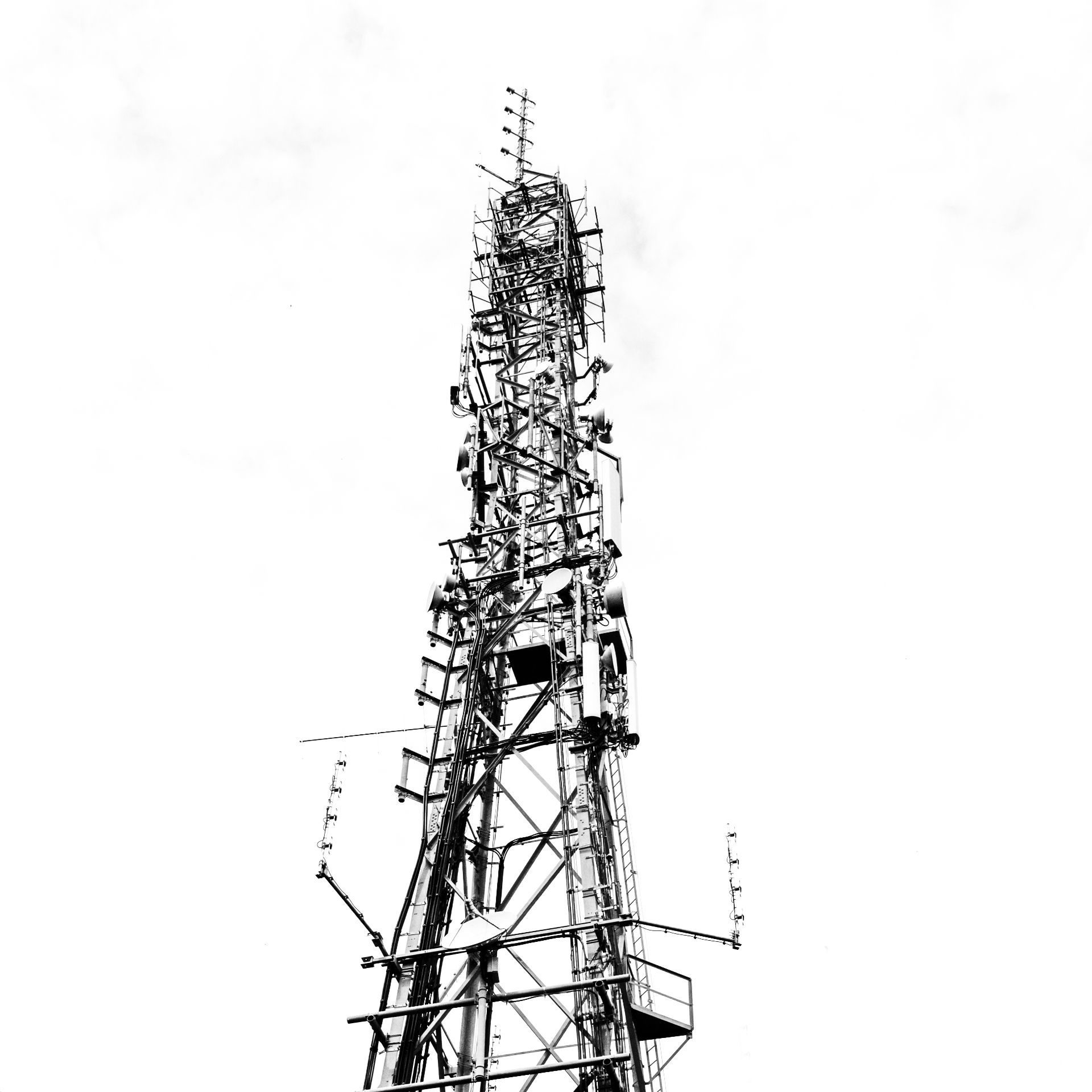 photography based digital image