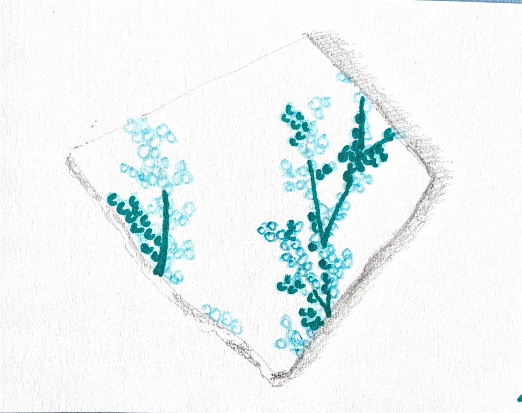 Pen and pencil drawing of a pottery shard with a white background, grey pencil outline and blue pen circle details