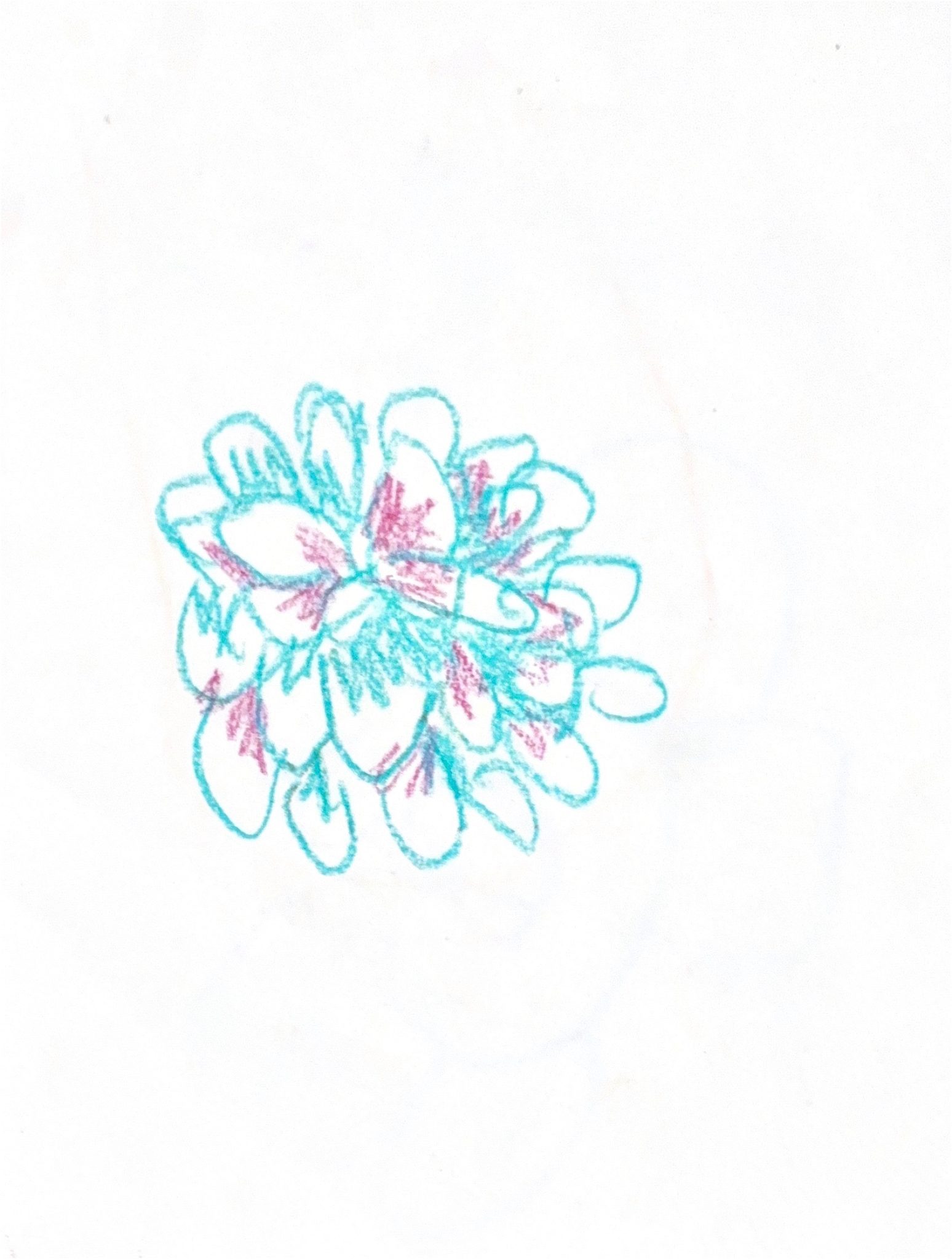 Sketchy drawing of a pinecone using purple and turquoise chunky crayons