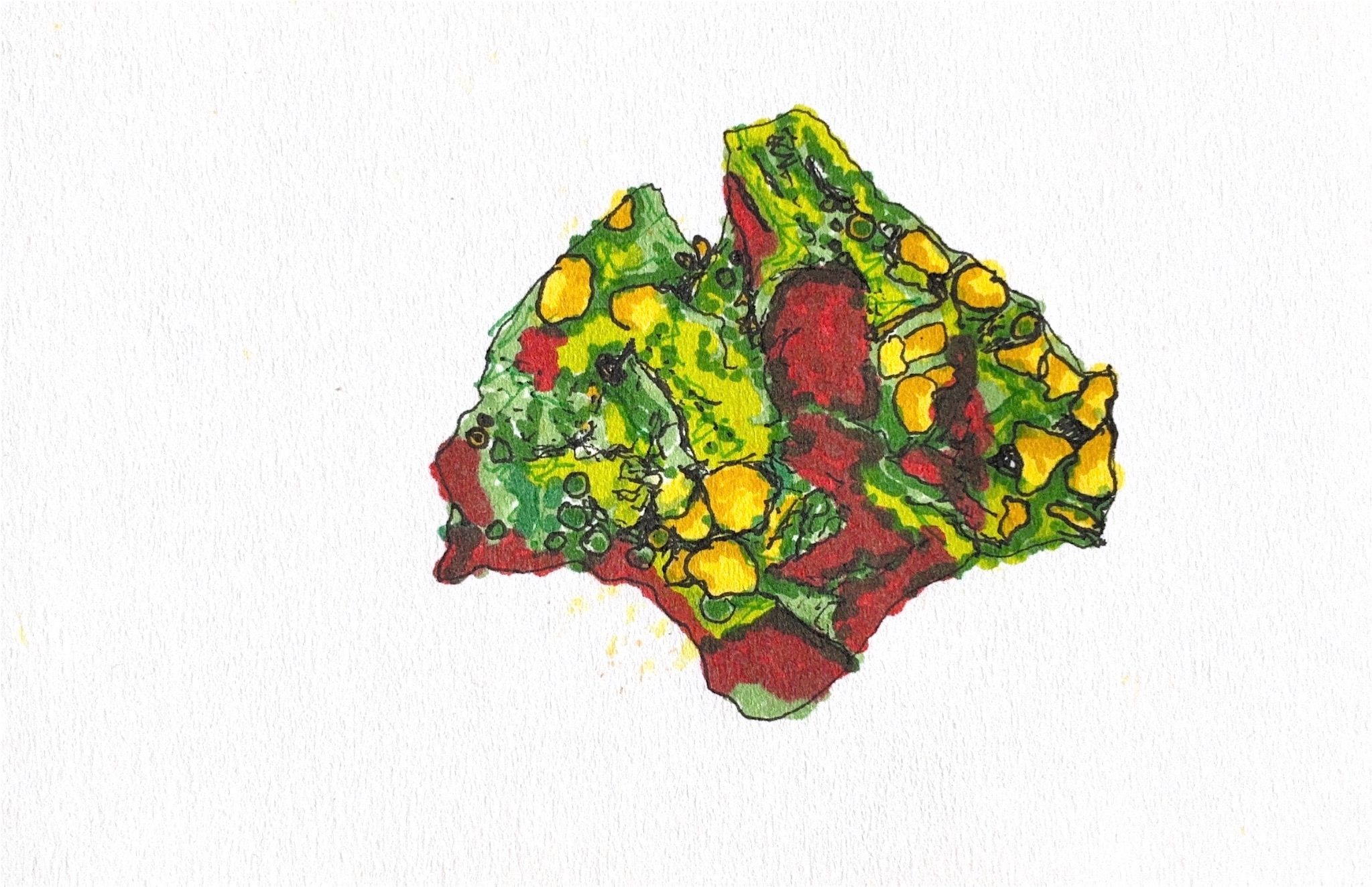 Pen and ink close up drawing of lichen using black, brown, green and yellow