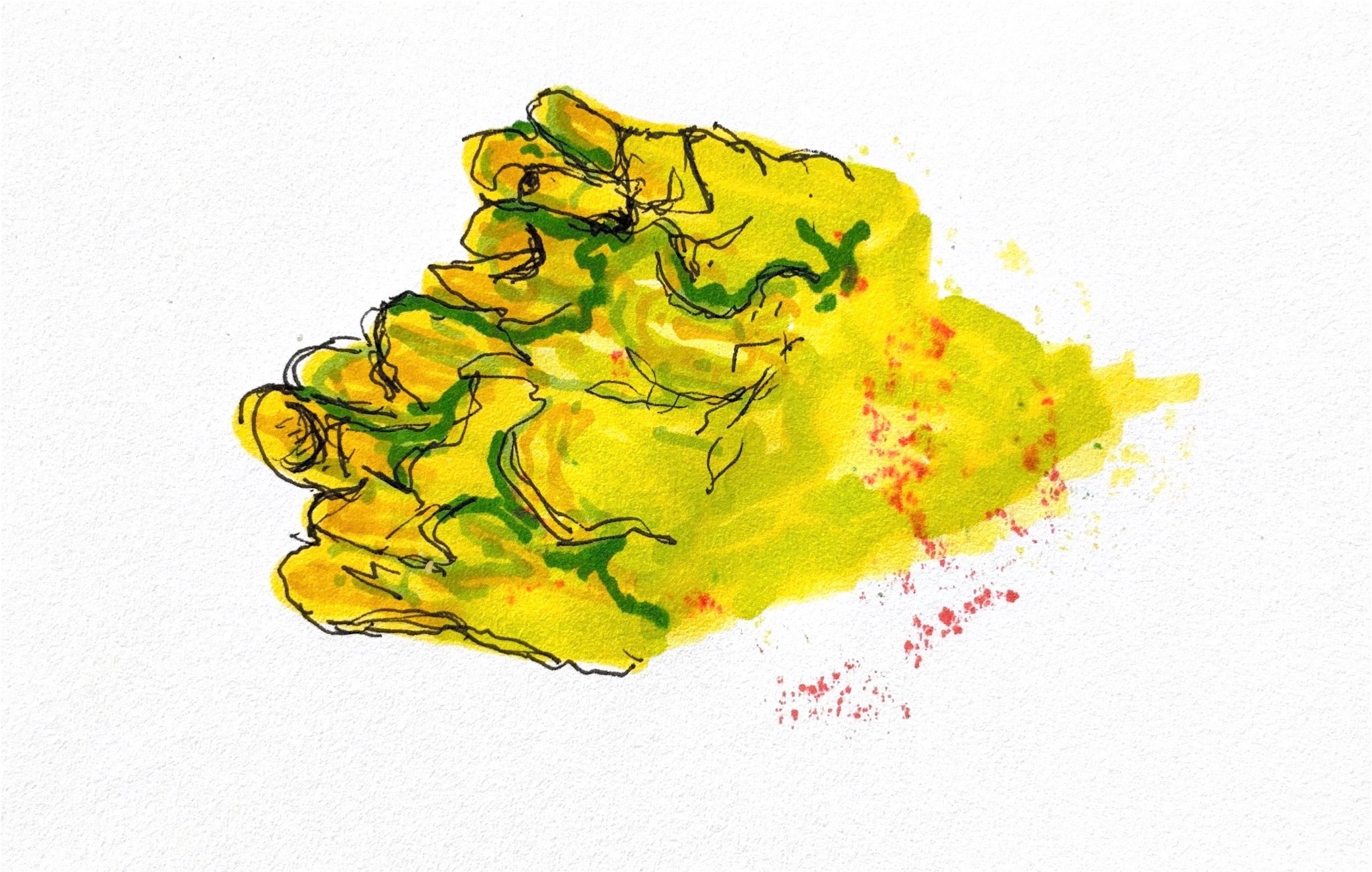 Pen and ink drawing of lichen close up using black, green and yellow