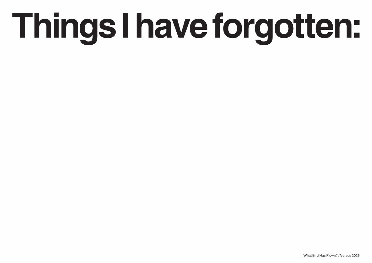 Things I have forgotten: (none). Does that mean I remember everything, or I already forgot about them?