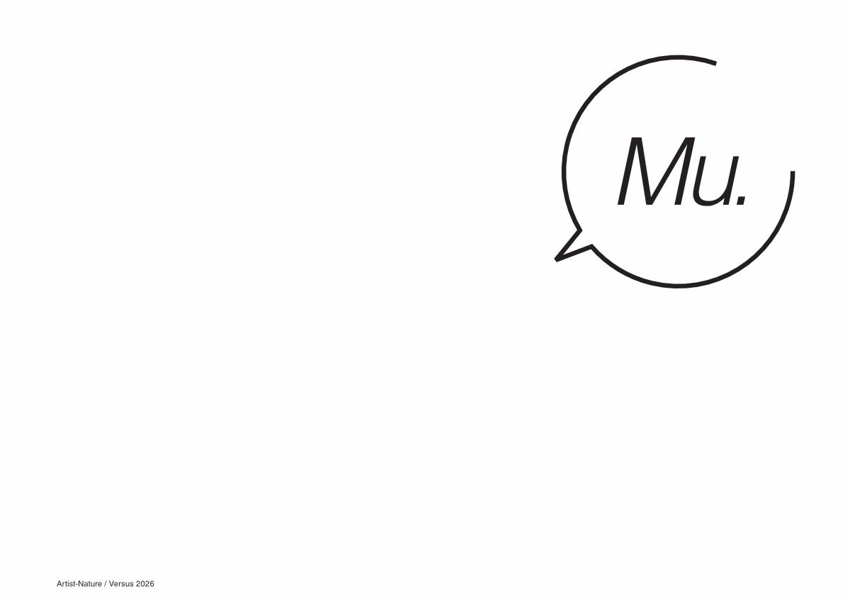 The artwork in the form of a dialogue. Inspired by mu-koan, which are stories use in Zen teaching, in these stories (in simplest sense), the word 