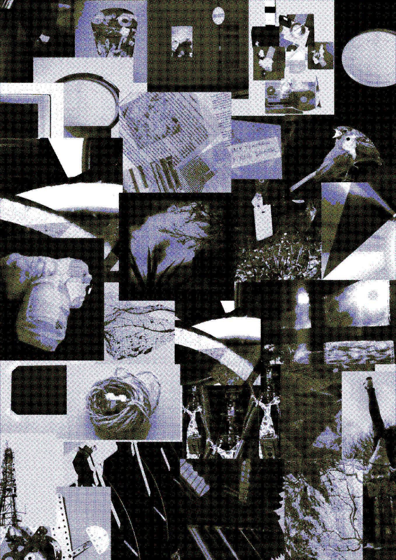 photography based digital image