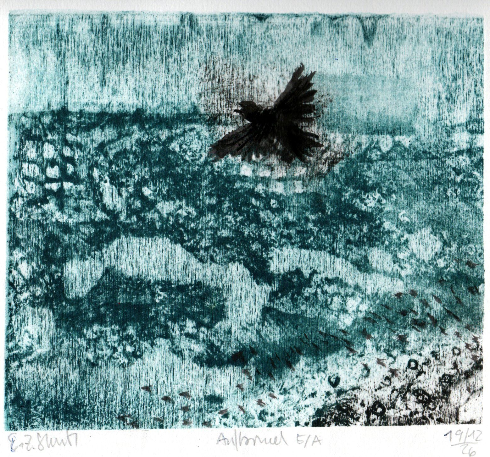 a black bird flying upwards over the sea