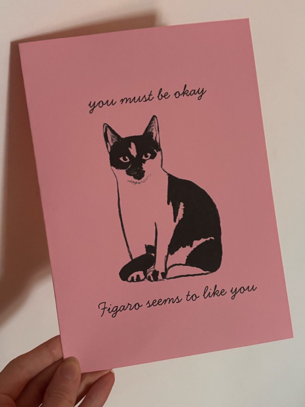 A “Valentine’s” day card for anyone that my cat likes