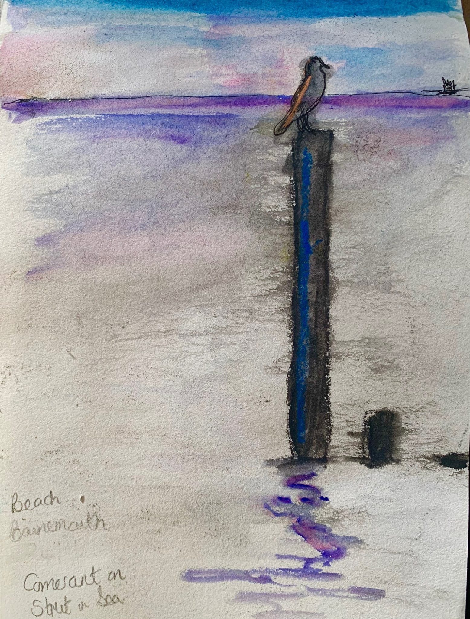 Sketch of a bird at sea