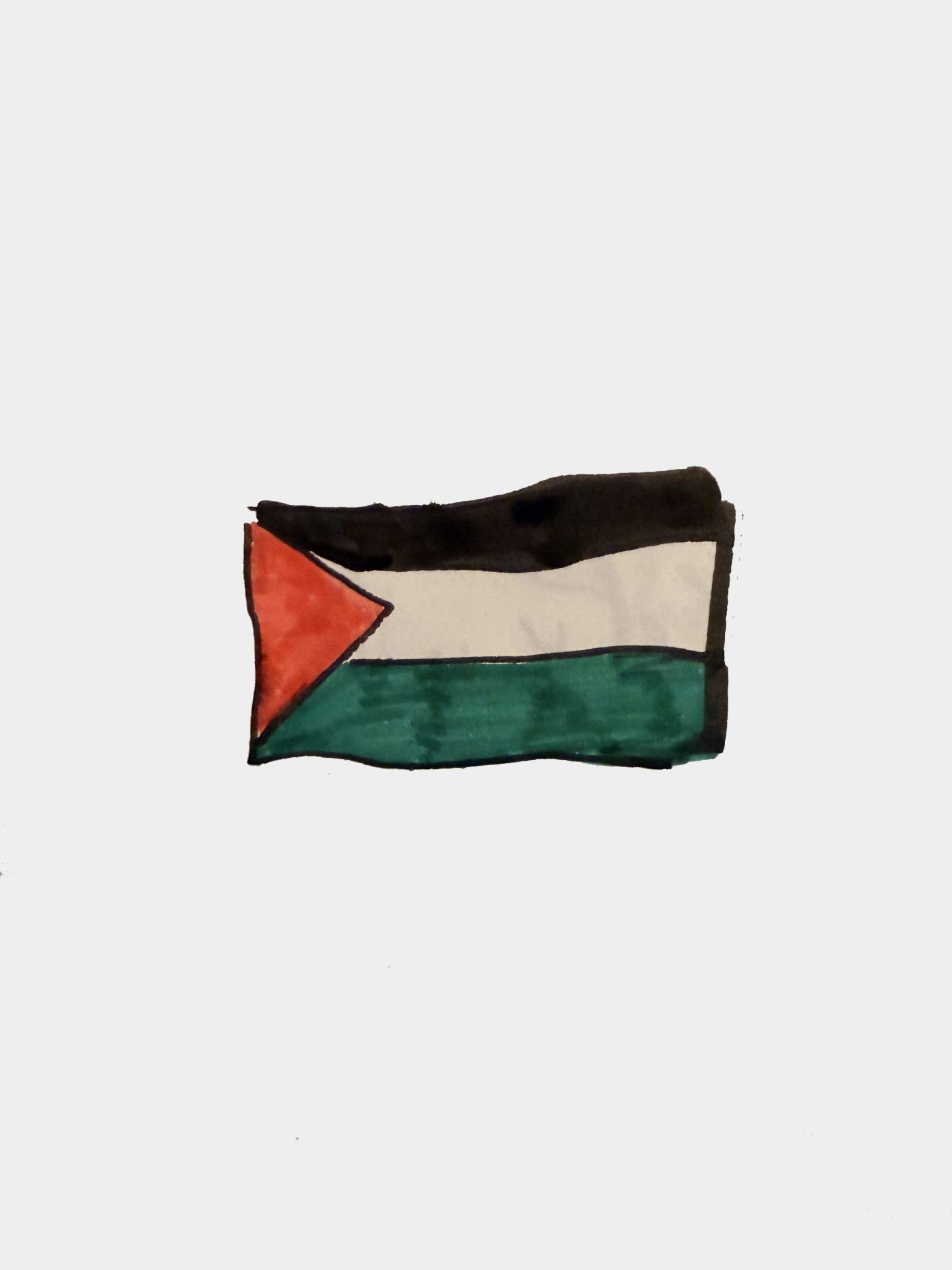 Palestine flag
