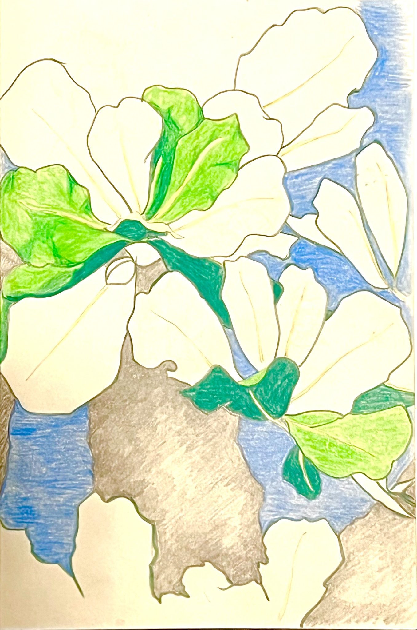 Coloured pencil drawing of branch and leaves of tropical tree