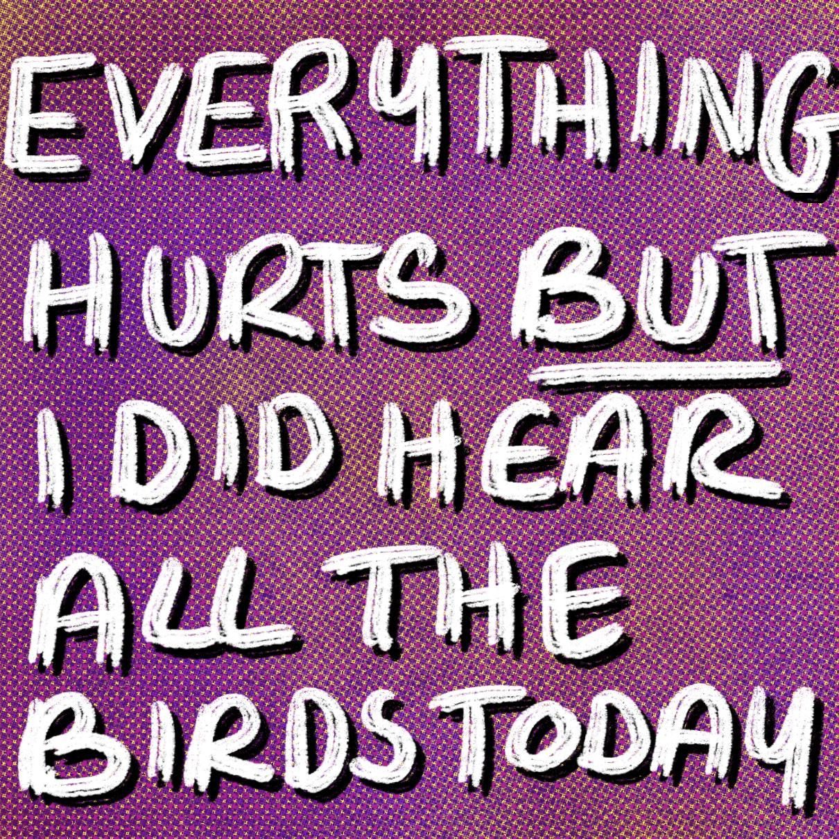 white text with black drop shaddow on a white background. the text says everything hurts but i saw all the birds today
