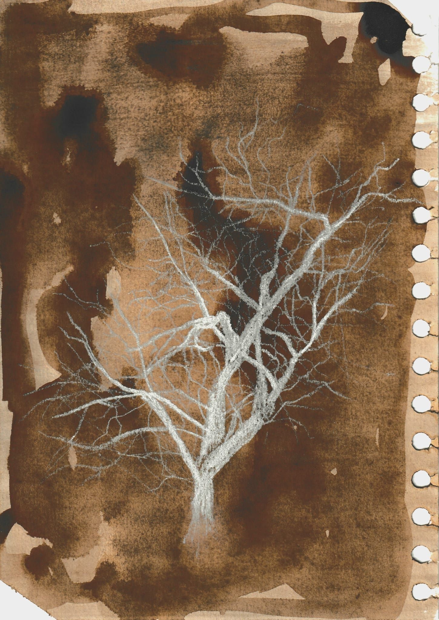 Chalk pencil sketch on oak gall ink stained paper. The background is brown and blotchy, and a white drawing of a tree is scrawled on top.