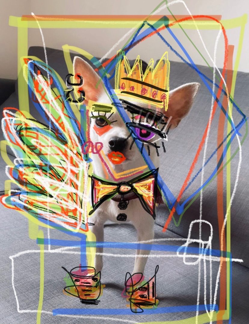 A photo of white Chihuahua with bizarre drawings