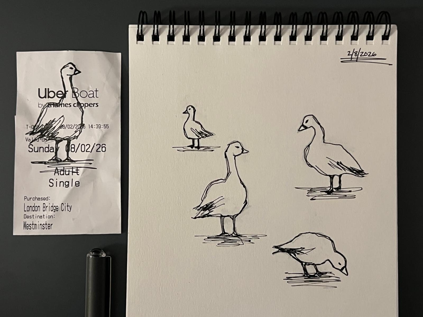 Pen drawings of white geese on a receipt and on paper