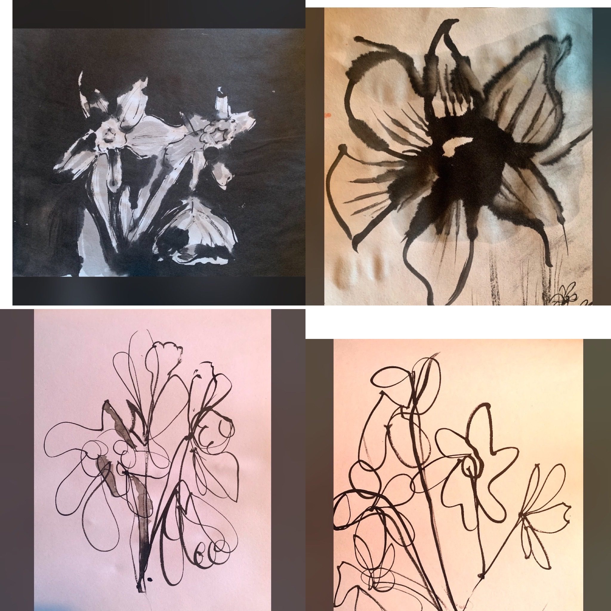 Experimental quick sketches of daffodils using Sumi ink. Trying to do in one application exploring the idea of interconnectedness