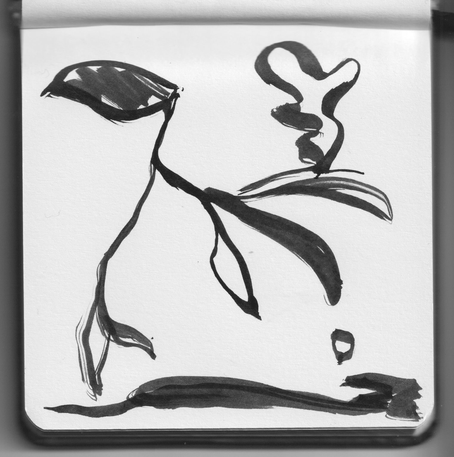 B&W scan of an ink drawing on sketchbook