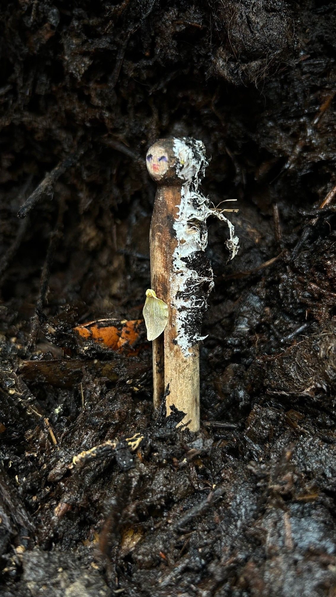 Wooden peg with drawn on features emerges from compost pile. they are slightly decomposted by white mycelium