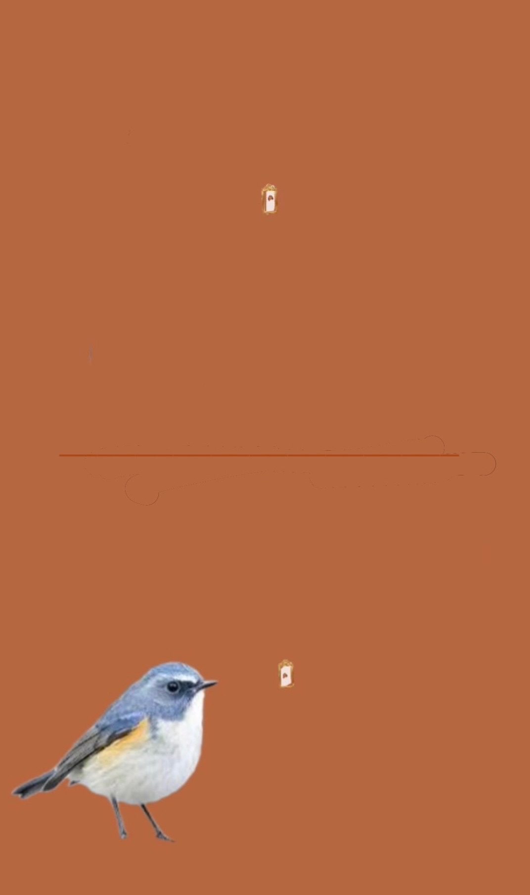Bird size