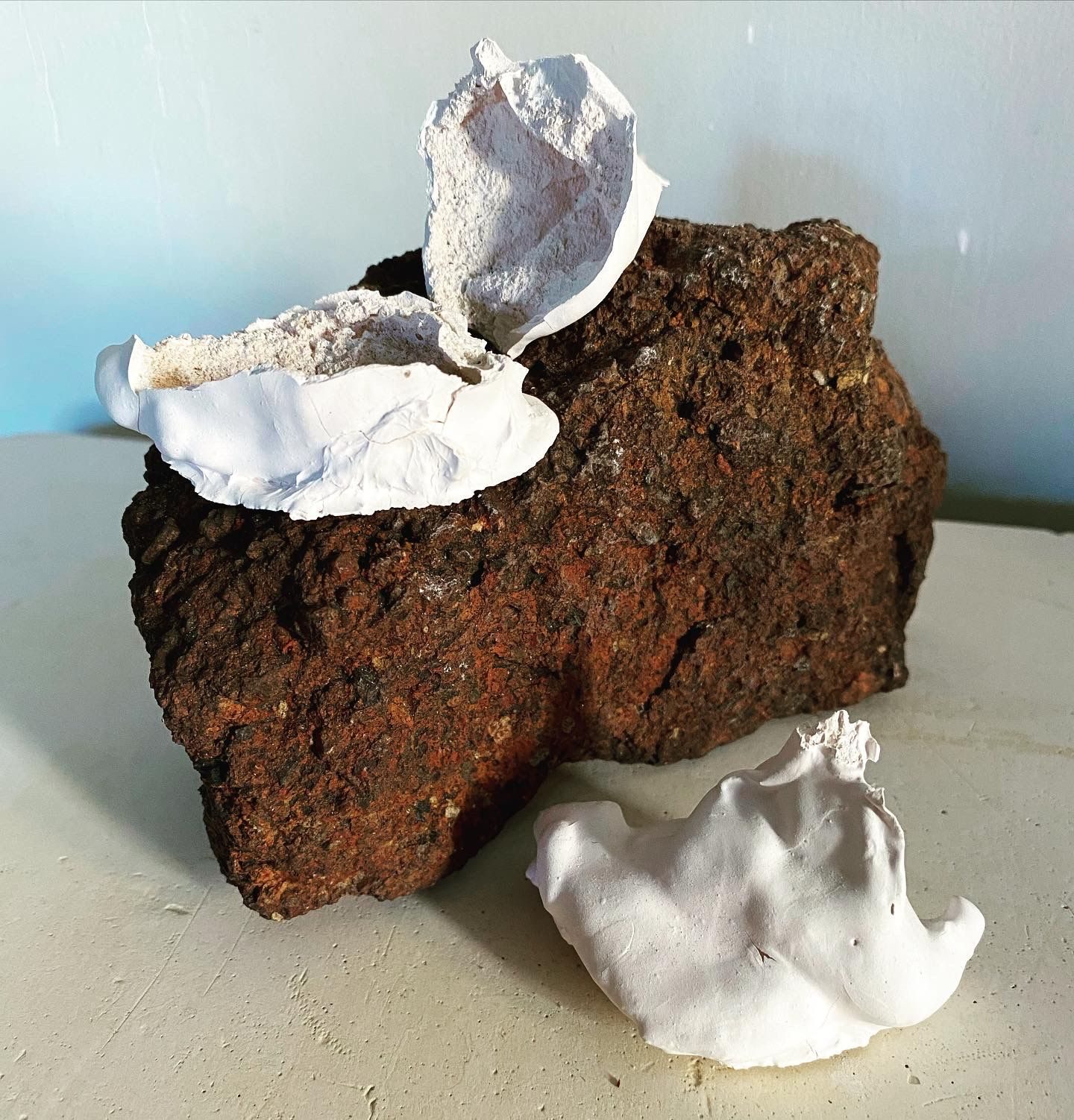 Slip cast white porcelain teabag fragments on red brick