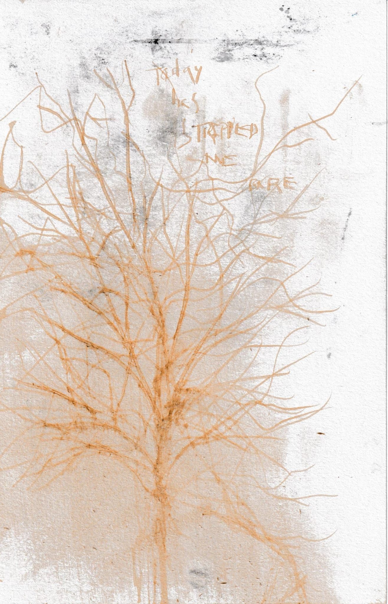 Oak gall ink sketch of a bare tree with the writing 'today has stripped me bare' scratched into the background. This oak gall ink is brown but has been scanned in on a printer and appears light orangey.