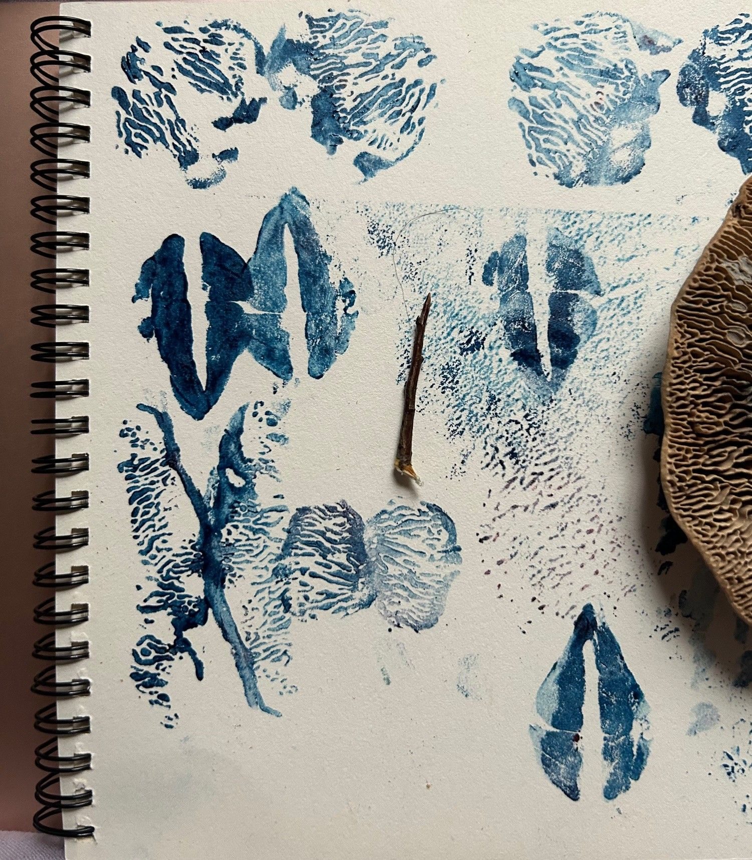 small prints on a white page, the prints are fuzzy some are of a thorn and some are of the bottom of a Mazegill mushroom so look like fragments of mazes