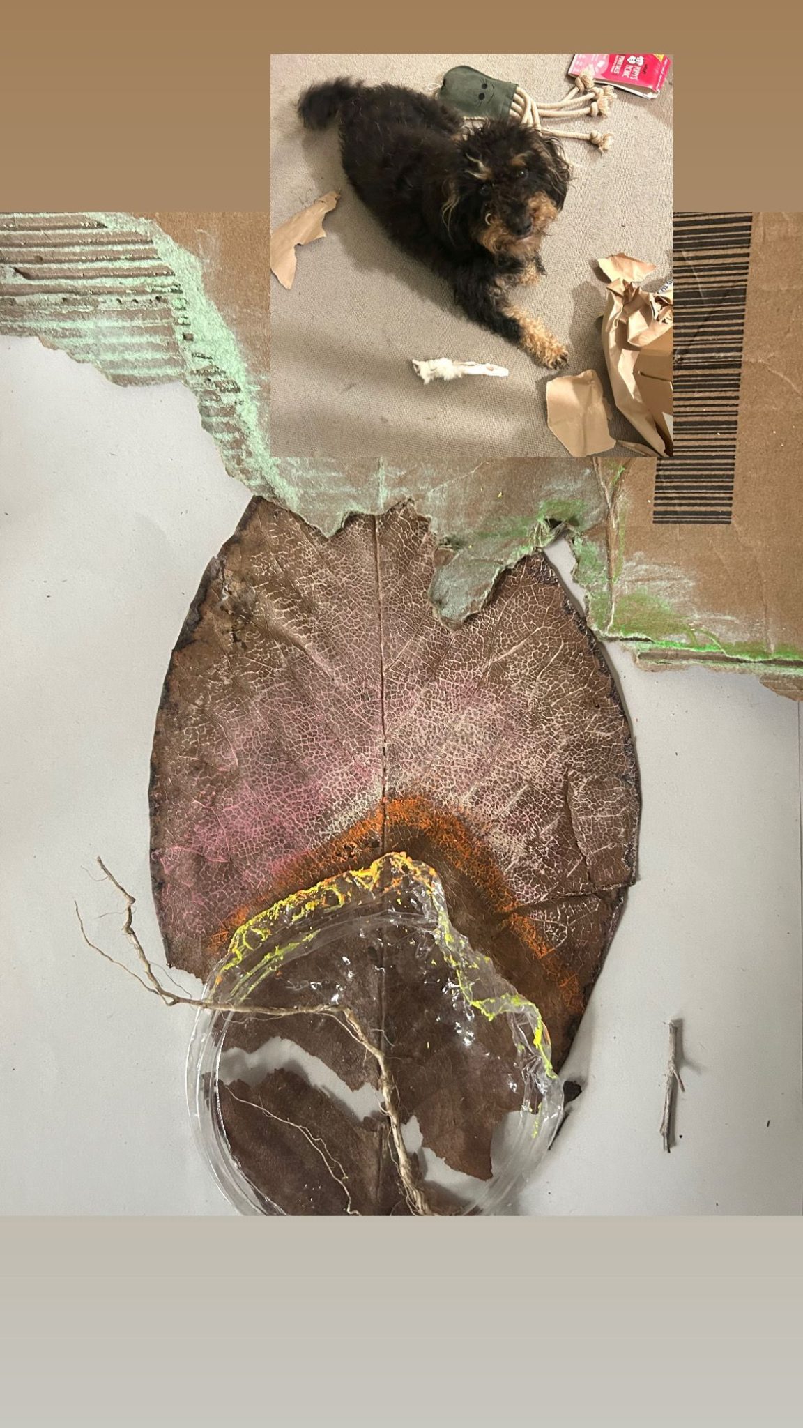 A shreded edge of cardboard aranged with a plastic lid that's been chewed on to a leaf. These have then been coloured with chalk pastels to loosely look like a landscape scene