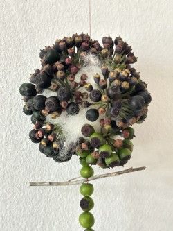 Clusters of ivy berries sewn on to some white sheeps wool