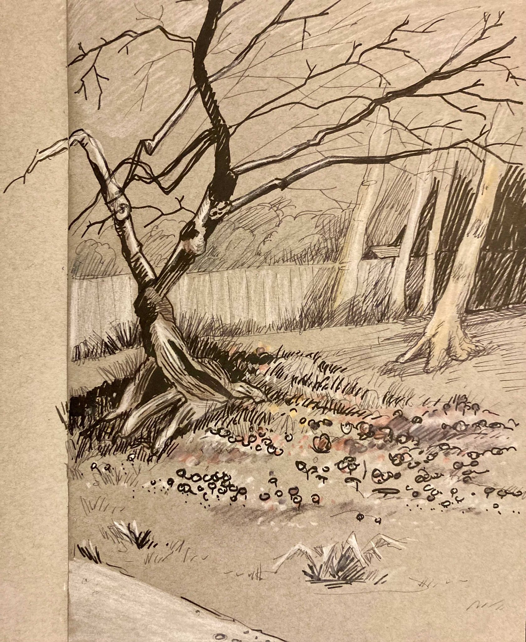 Black, grey and white pen on tinted paper of trees and grass